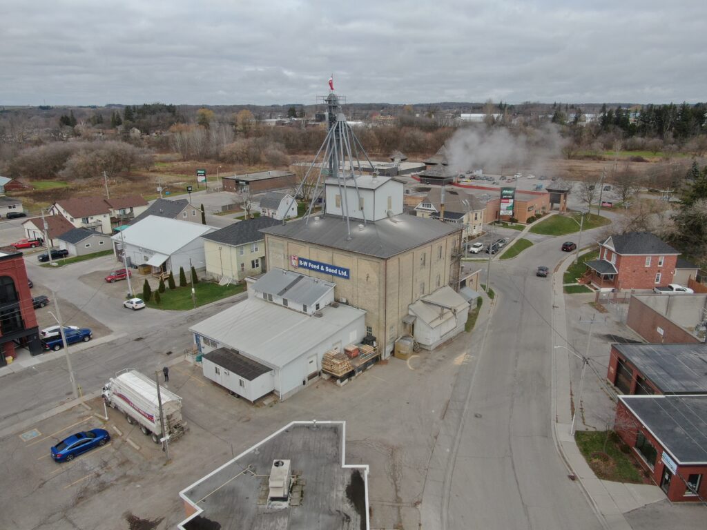 social development mill